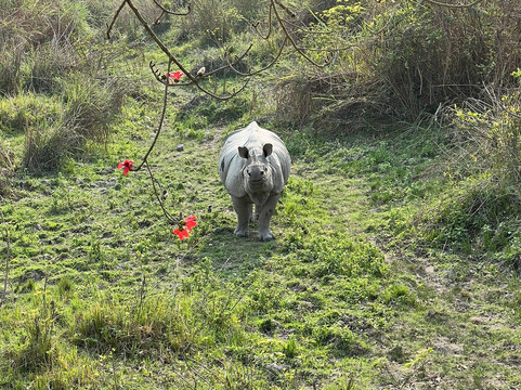 Travel With-阿格拉必去景点