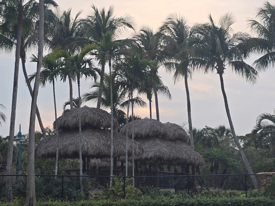 波尼塔泉椰子海湾酒店式公寓 - Hyatt假期俱乐部酒店主图