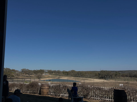 Grapetown Vineyard-弗雷德里克斯堡必去景点