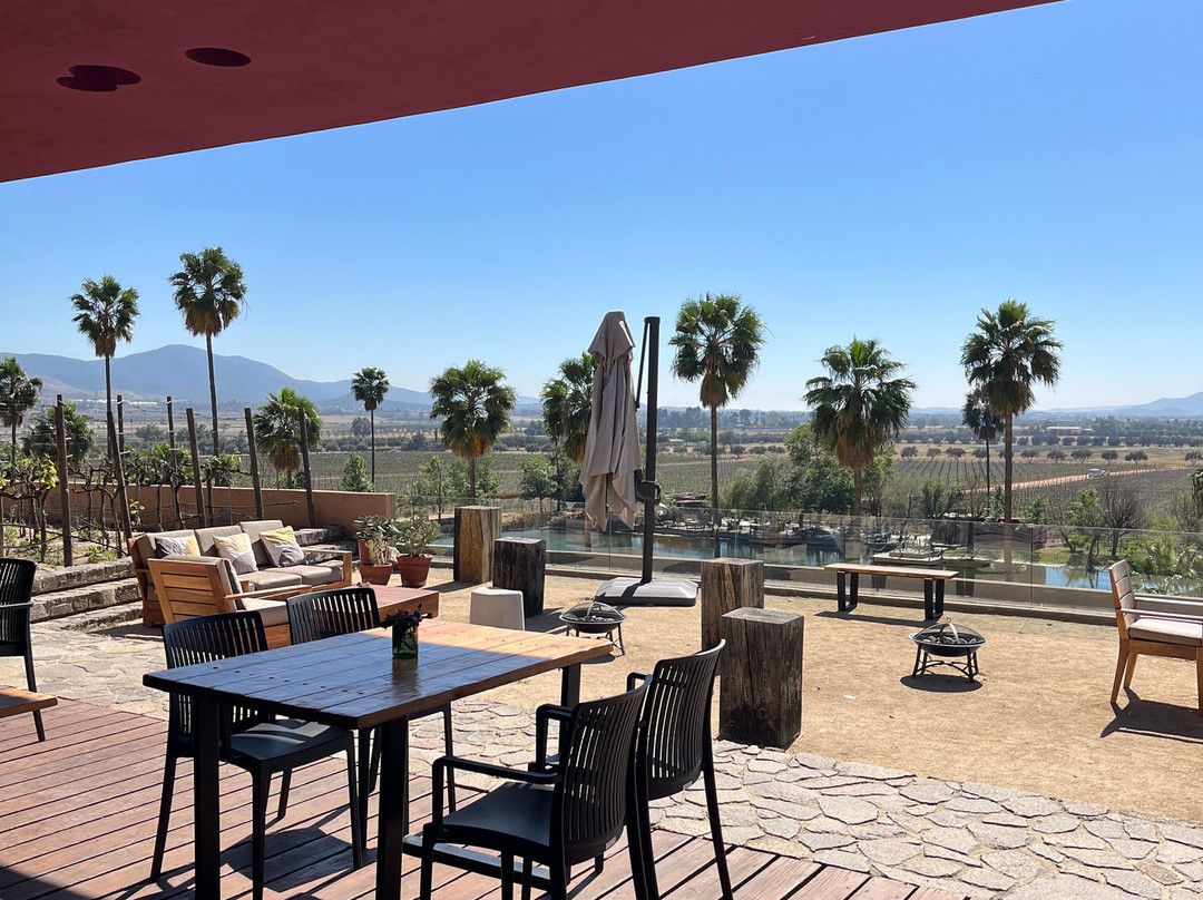 Monte Xanic Bodega Vinícola-Valle de Guadalupe必去景点