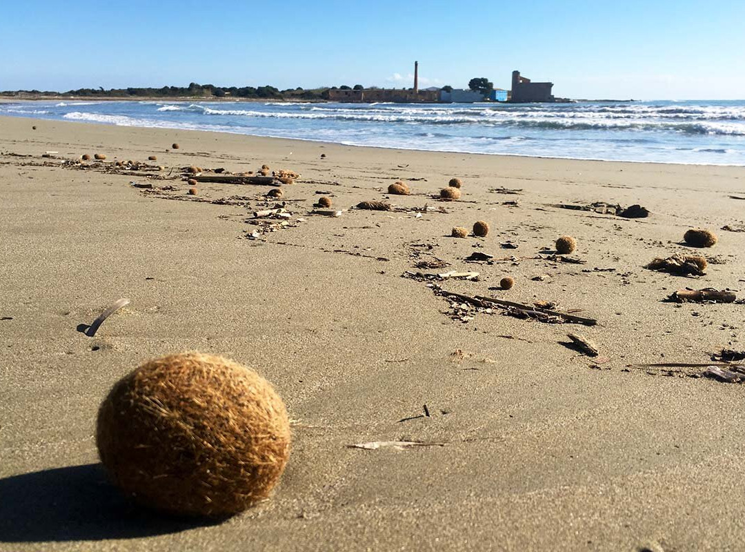 Walk in Nature-Trecastagni必去景点