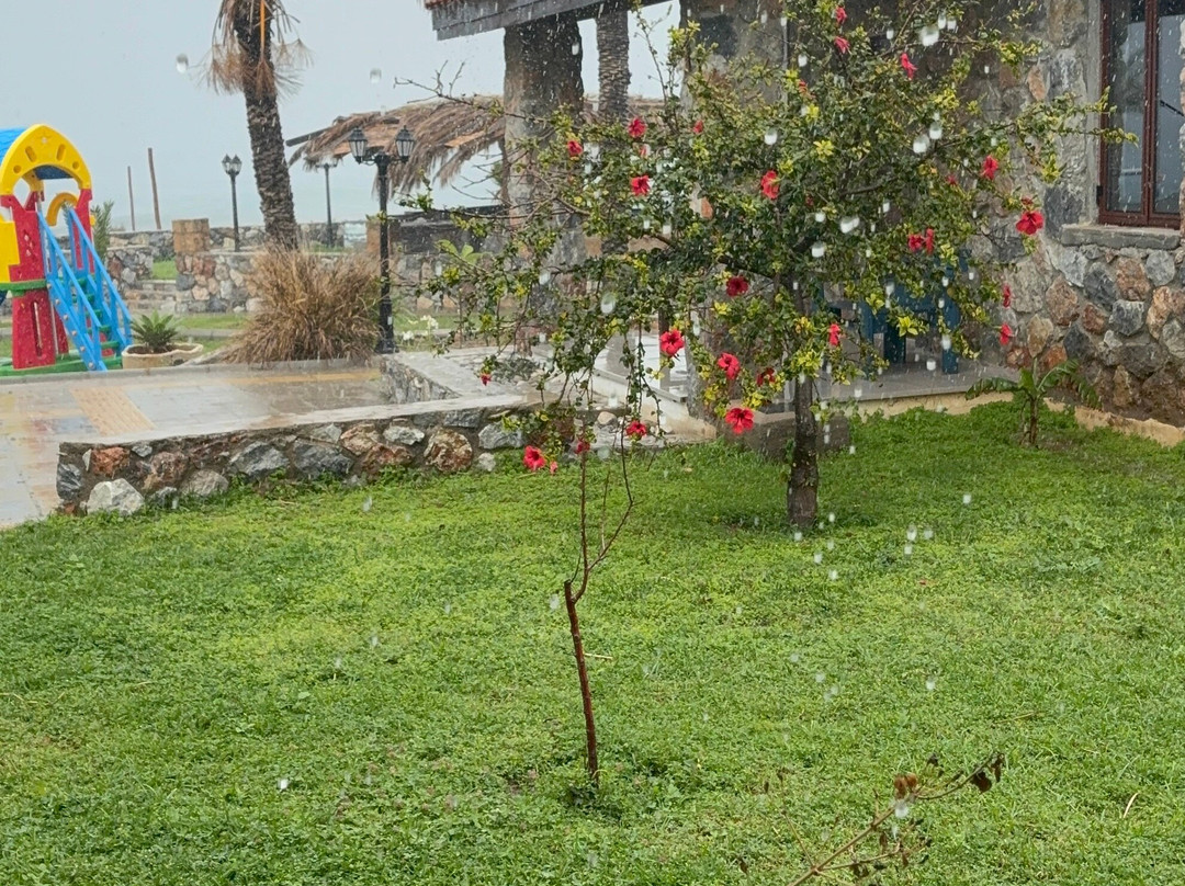 Ardiç Ağaci Tatil Köyü
