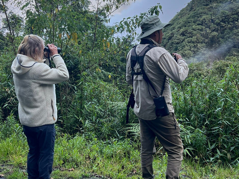 Birds of Peru Tours-马尔多纳多港必去景点