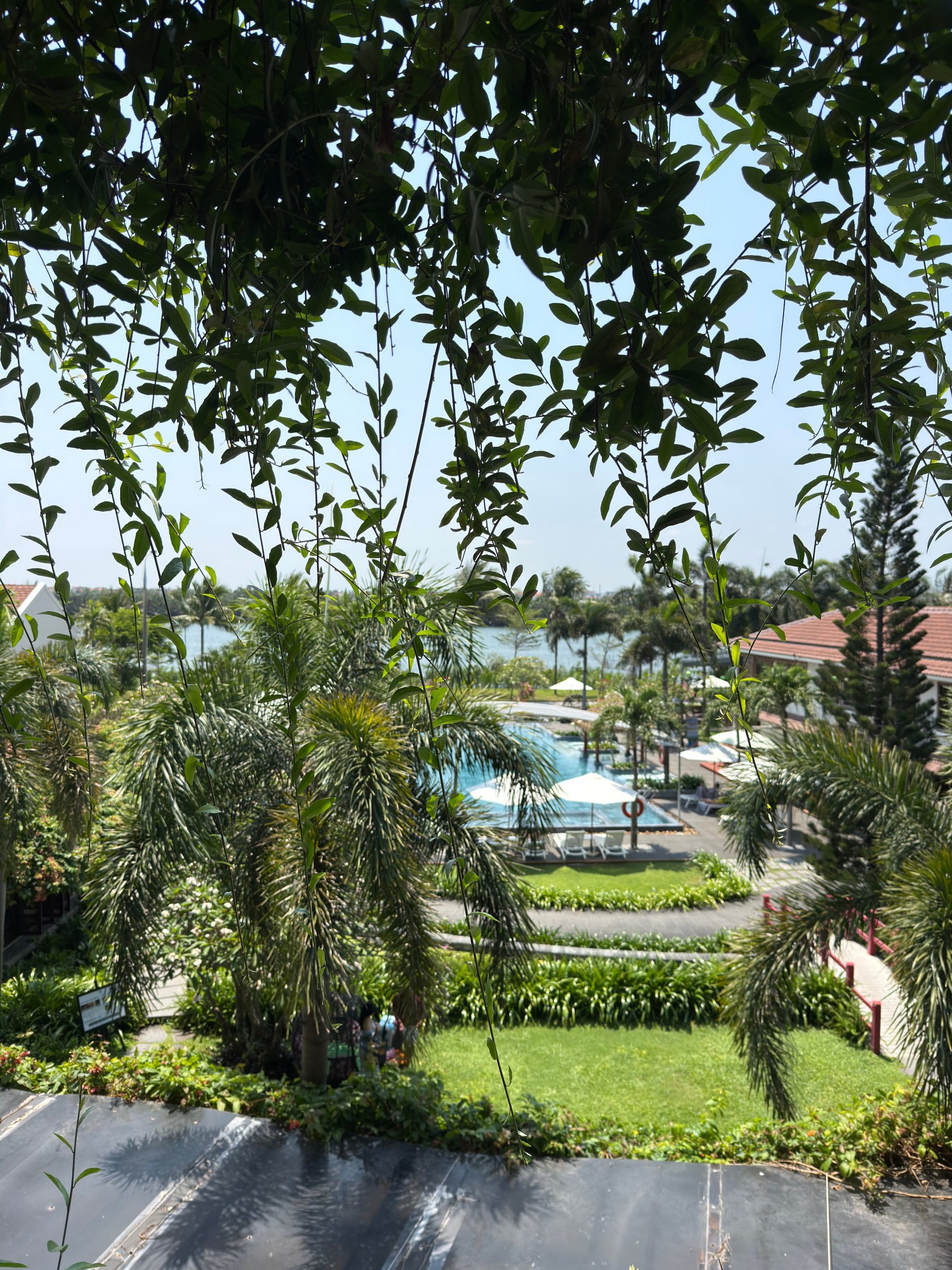 会安Silk Sense河滨度假村-官方