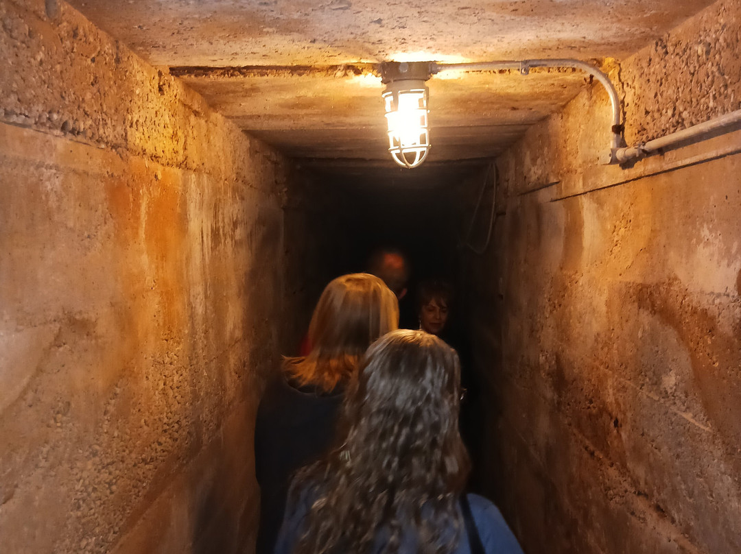 Top O' Hill Terrace-阿灵顿必去景点