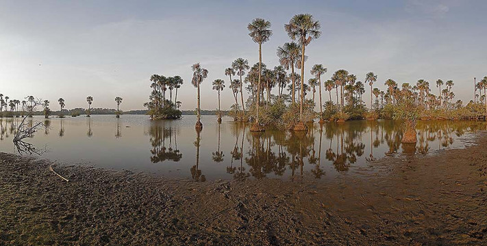 Wild Llanos Tours and Safaris-Yopal必去景点