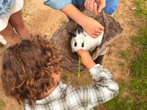 Quinta do Agricultor-蓬塔德尔加达必去景点