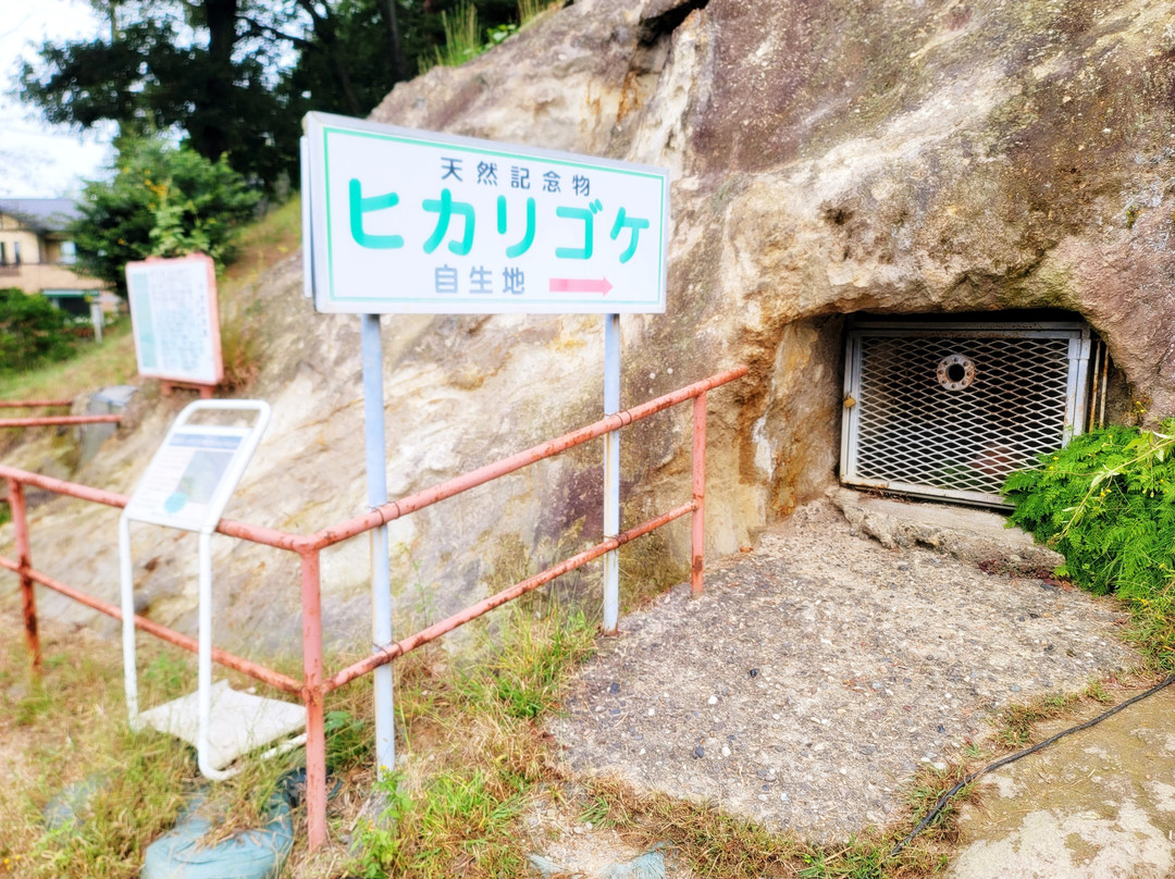 Yoshimi Hyakuana Tombs-吉见町必去景点