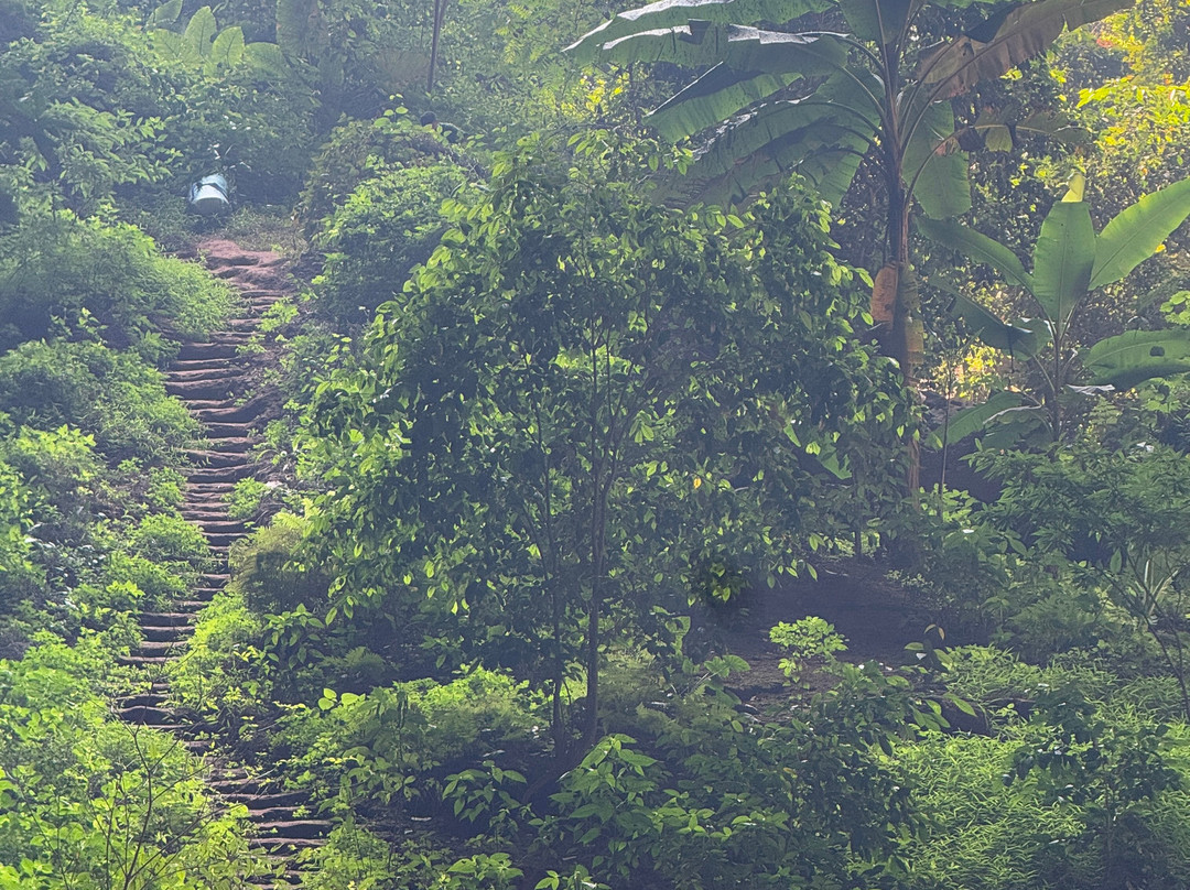 Jungle Boss Tours-峰牙－己榜国家公园必去景点