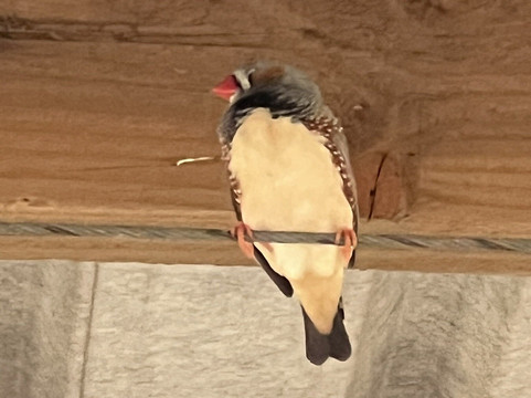 Hamerton Zoo Park-Sawtry必去景点