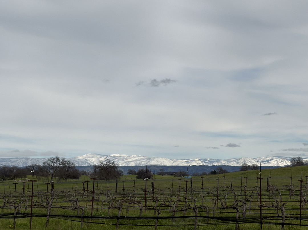 Dorval Estate Winery-Friant必去景点