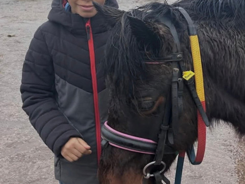Charnwood Forest Alpacas-Boundary必去景点