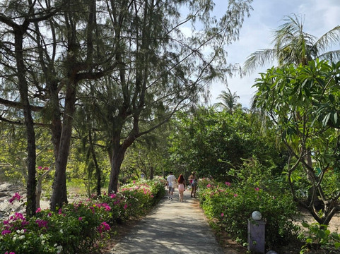 猴岛-芽庄必去景点