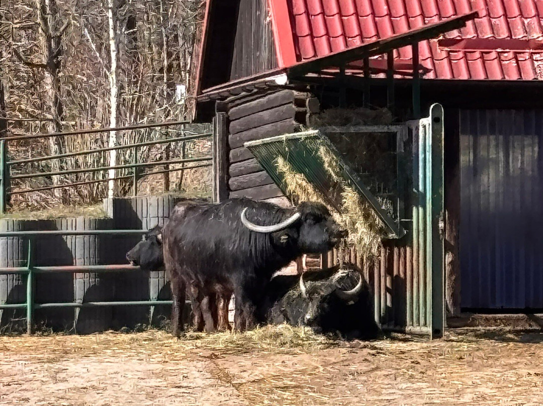 Oliwa Zoo-格但斯克必去景点