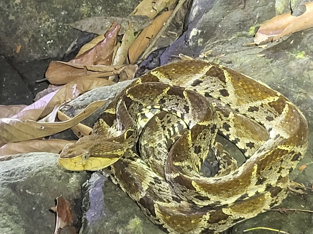 Santa Lucia Falls-乌维塔必去景点