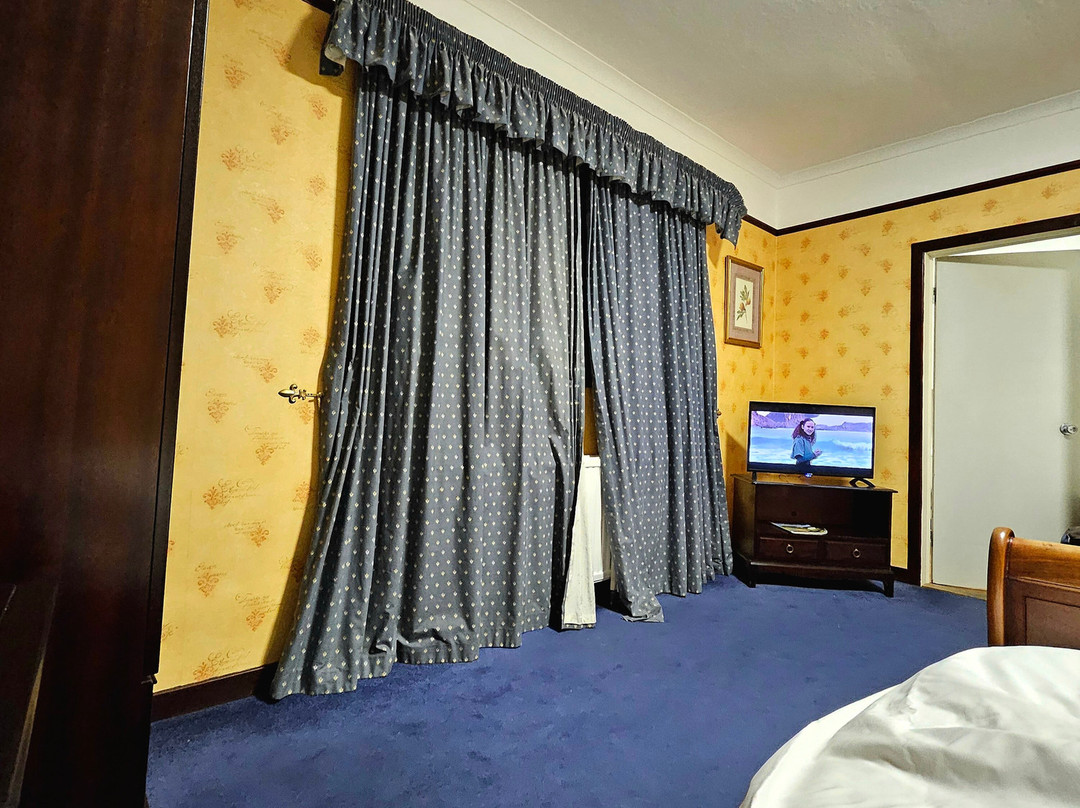 布鲁斯酒店主图