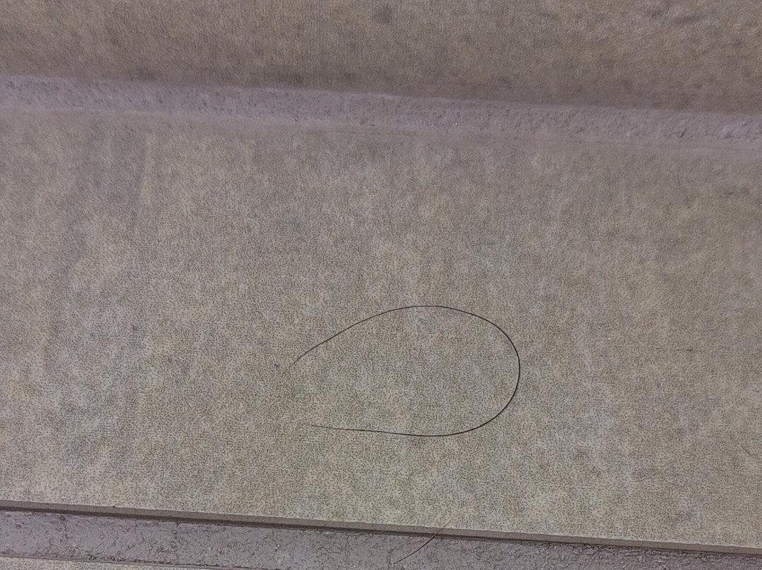 兰开斯特智选假日套房酒店-芒特乔伊主图