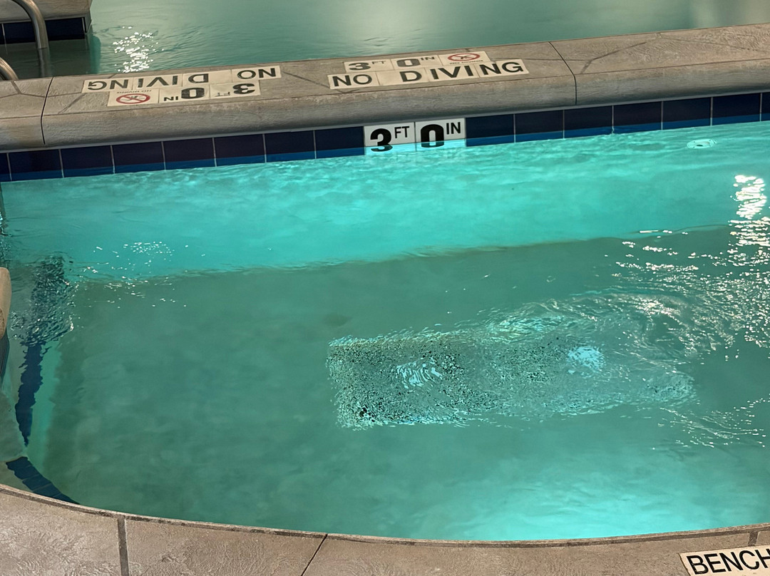 La Quinta Inn & Ste by Wyndham Wisconsin Dells- Lake Delton主图