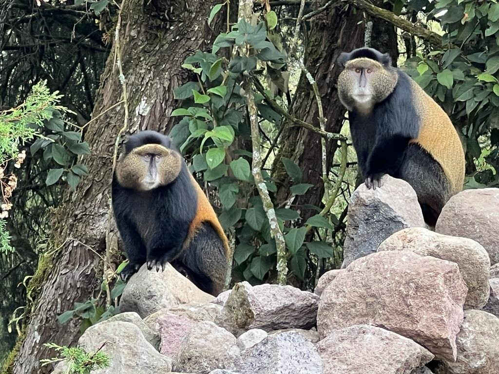 Explore RwandaTours-吉佳利必去景点