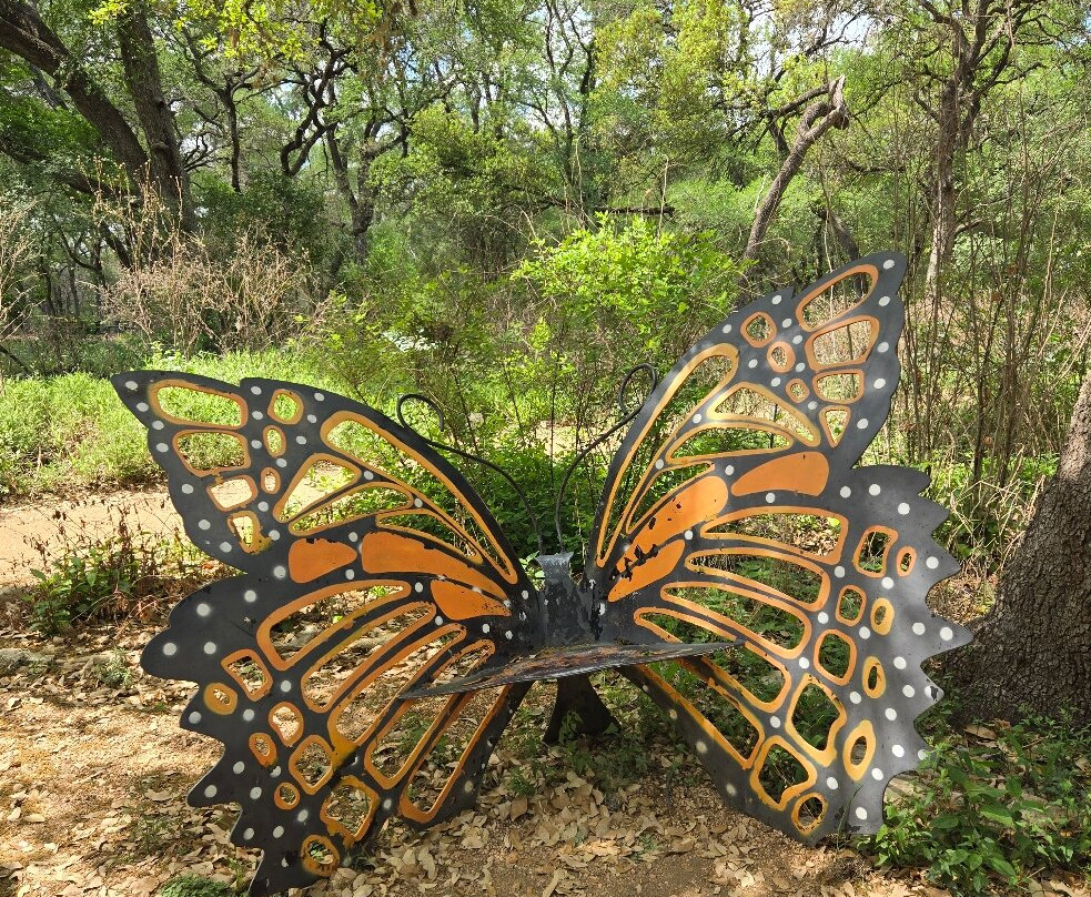 Zilker Botanical Garden-奥斯丁必去景点