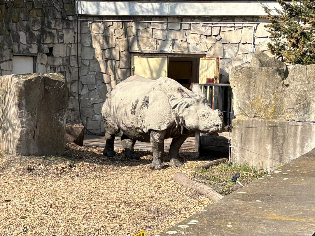 Miejski Ogrod Zoologiczny w Warszawie-华沙必去景点
