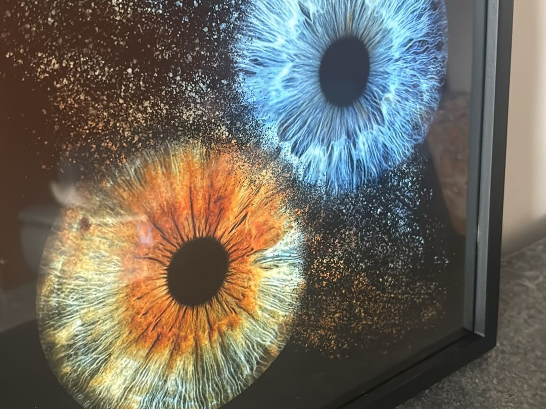 Iris Galerie Hasselt-哈瑟尔特必去景点