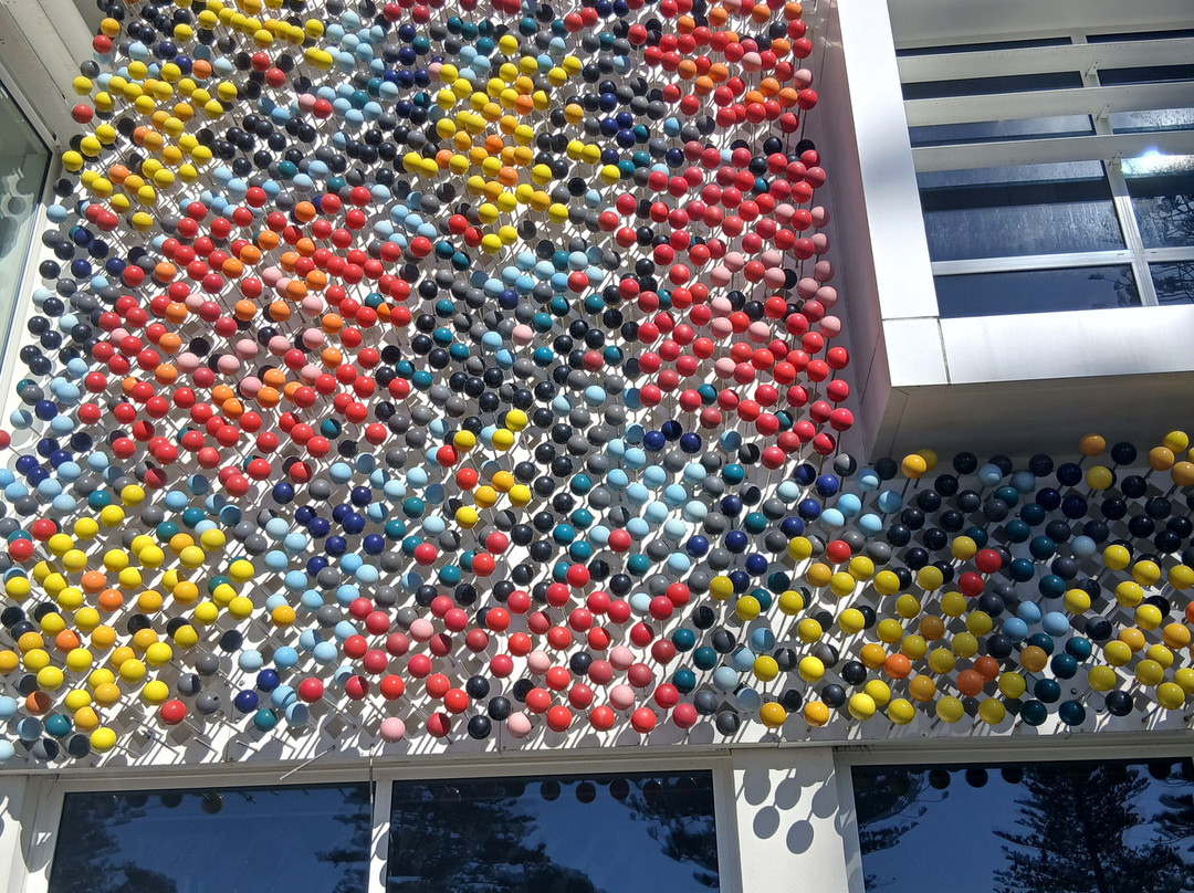 MTG Hawke's Bay-纳皮尔必去景点