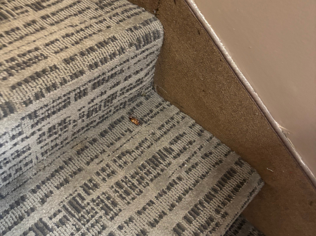 阿特里贝斯特韦斯特优质套房酒店主图