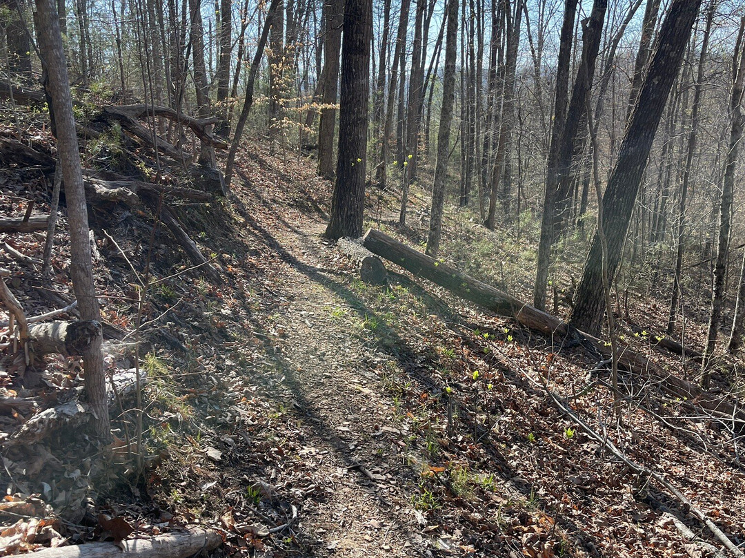Kingswood Hiking Trail-Bean Station必去景点