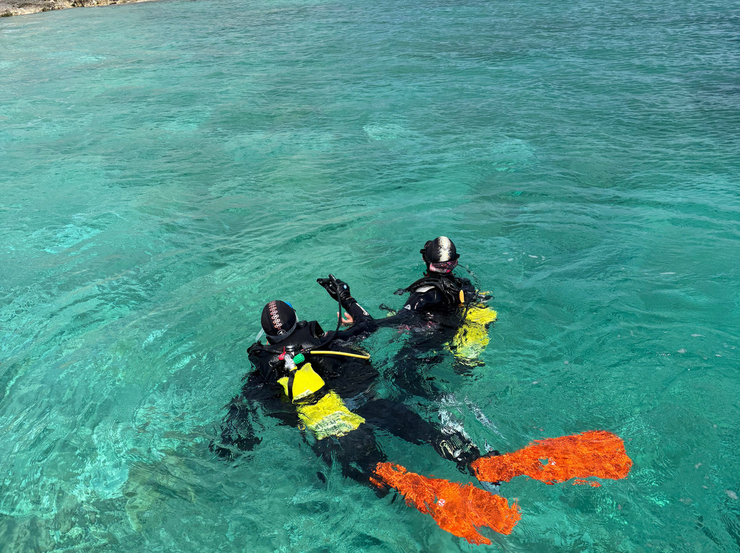 Paradise Diving Malta-史克华必去景点