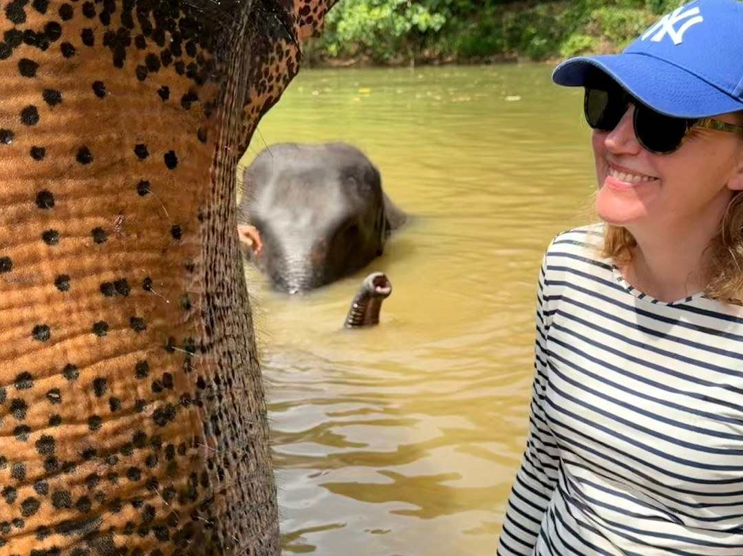 The Lake Phuket Elephant Home-Thep Krasatti必去景点