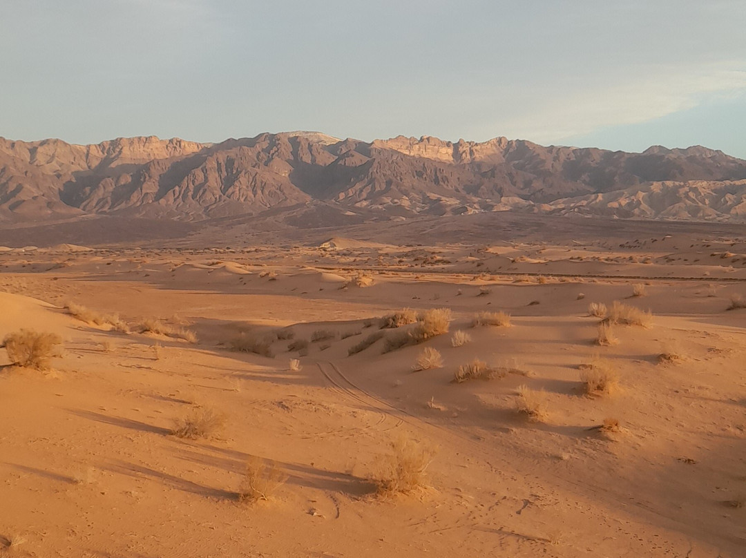 Bedouin Life Tours-佩特拉必去景点