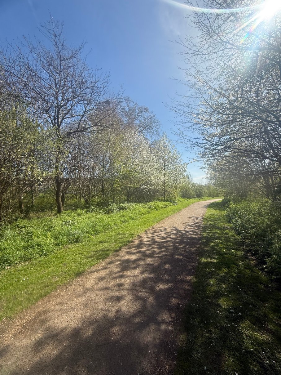 伦敦塞恩公园希尔顿酒店-度假村/酒店