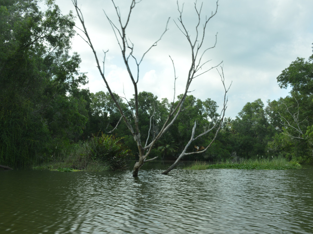 Poovar Backwater Cruise-Poovar必去景点