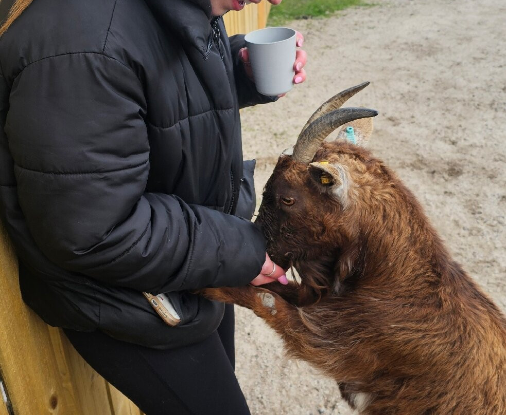 Hillview Animal Park-Alloa必去景点
