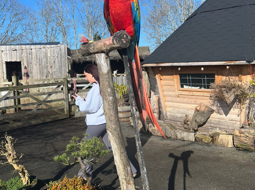 Nanny Sharon's Alpaca Farm C.I.C-Prenton必去景点