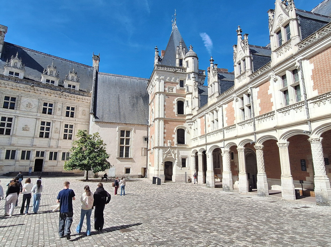 布卢瓦皇家城堡-布洛瓦必去景点