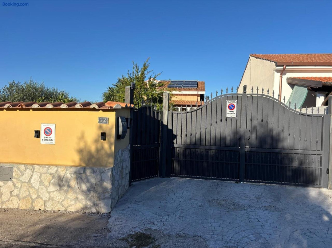 Tra gli ulivi