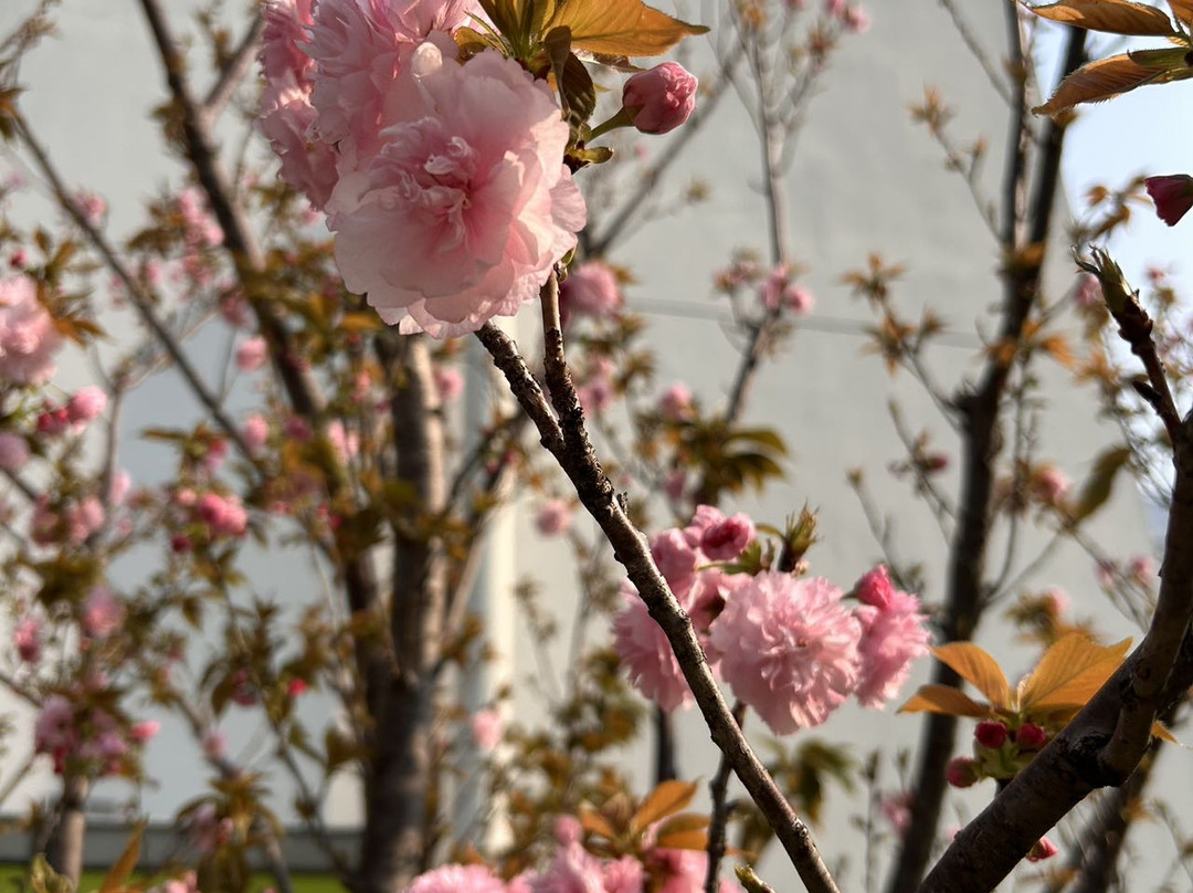抚州保利华章希尔顿逸林酒店主图