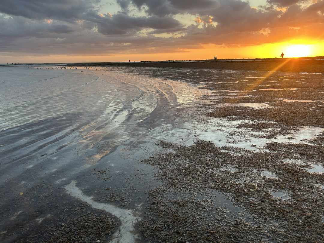 Spongeorama Sponge Factory-塔彭斯普林斯必去景点