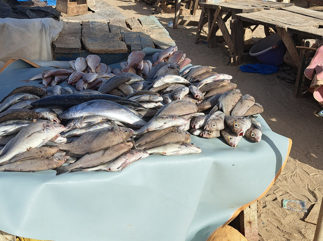 Guia Senegal Pais Bassari-Kedougou必去景点