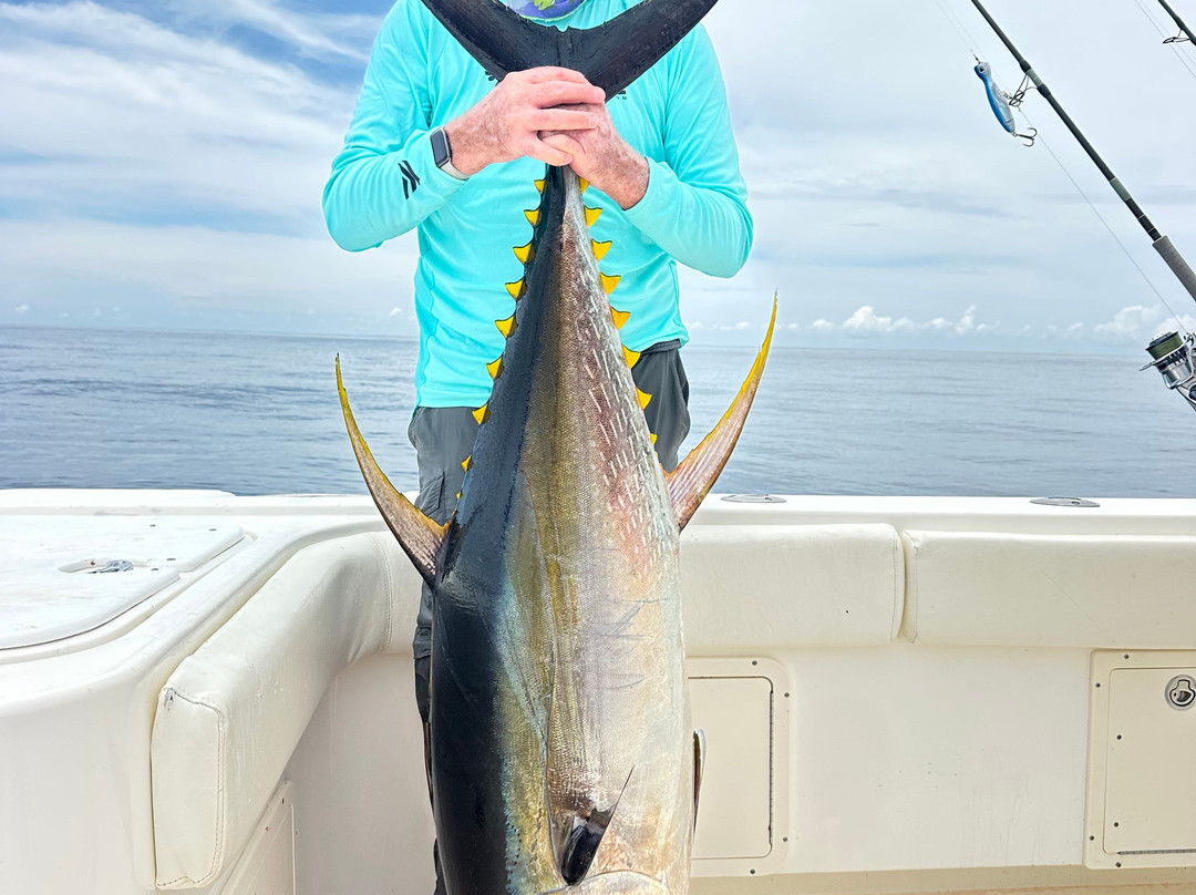Sport Fish Panama Island Lodge主图