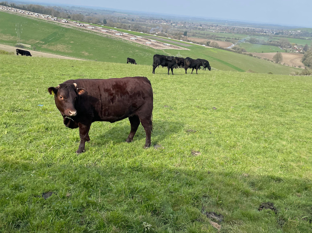 Coombes Farm-Coombes必去景点