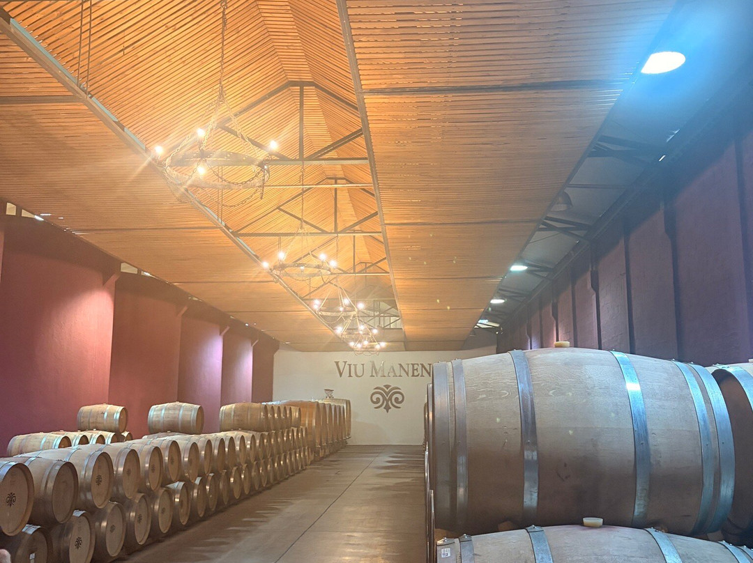 Viu Manent-圣克鲁斯必去景点