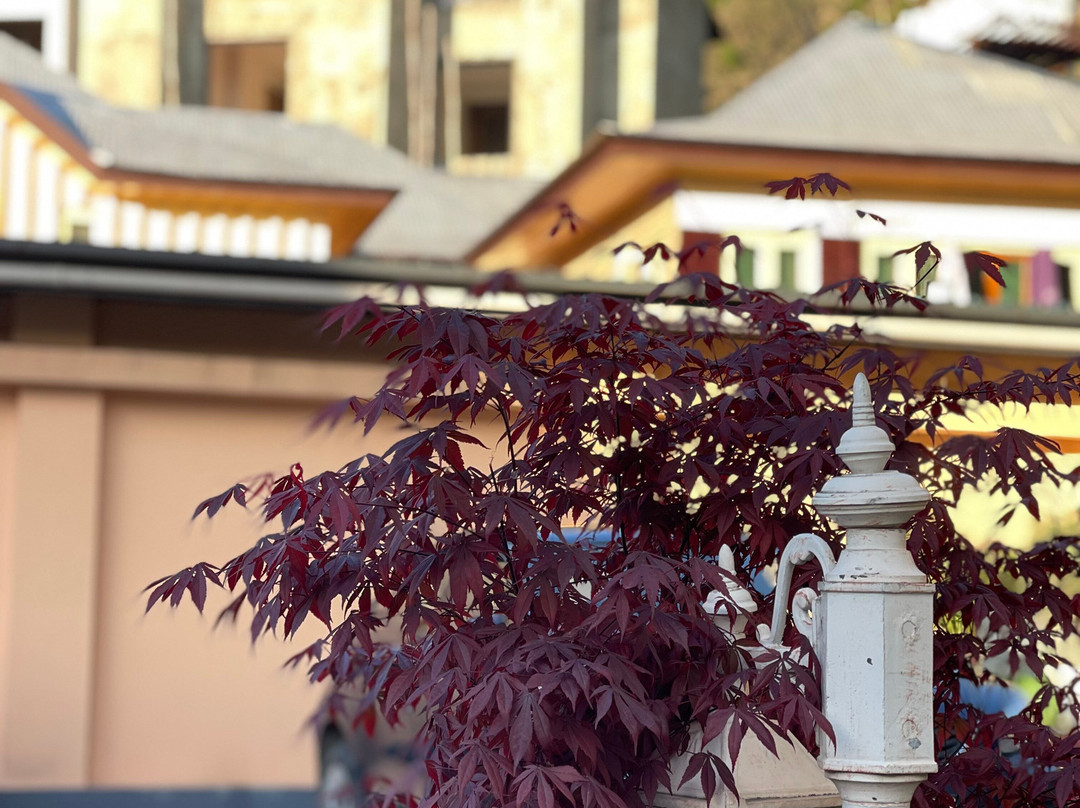 斯里纳格雪地酒店主图