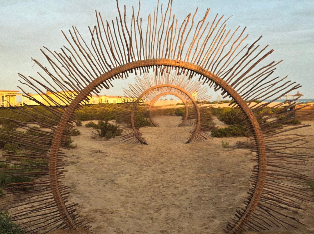 Ocean Vagabond Lassarga主图