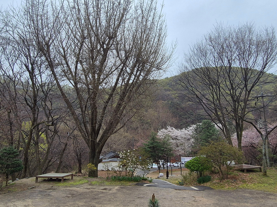 Cheong-wonsa-安城市必去景点