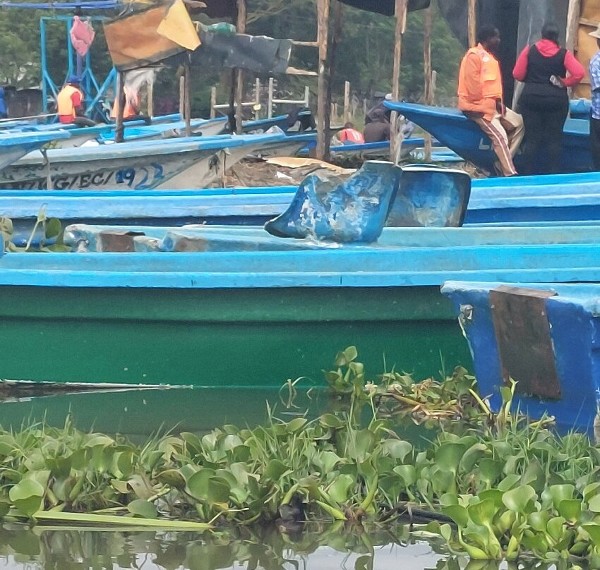 Grivet Tours And Safaris-马林地必去景点