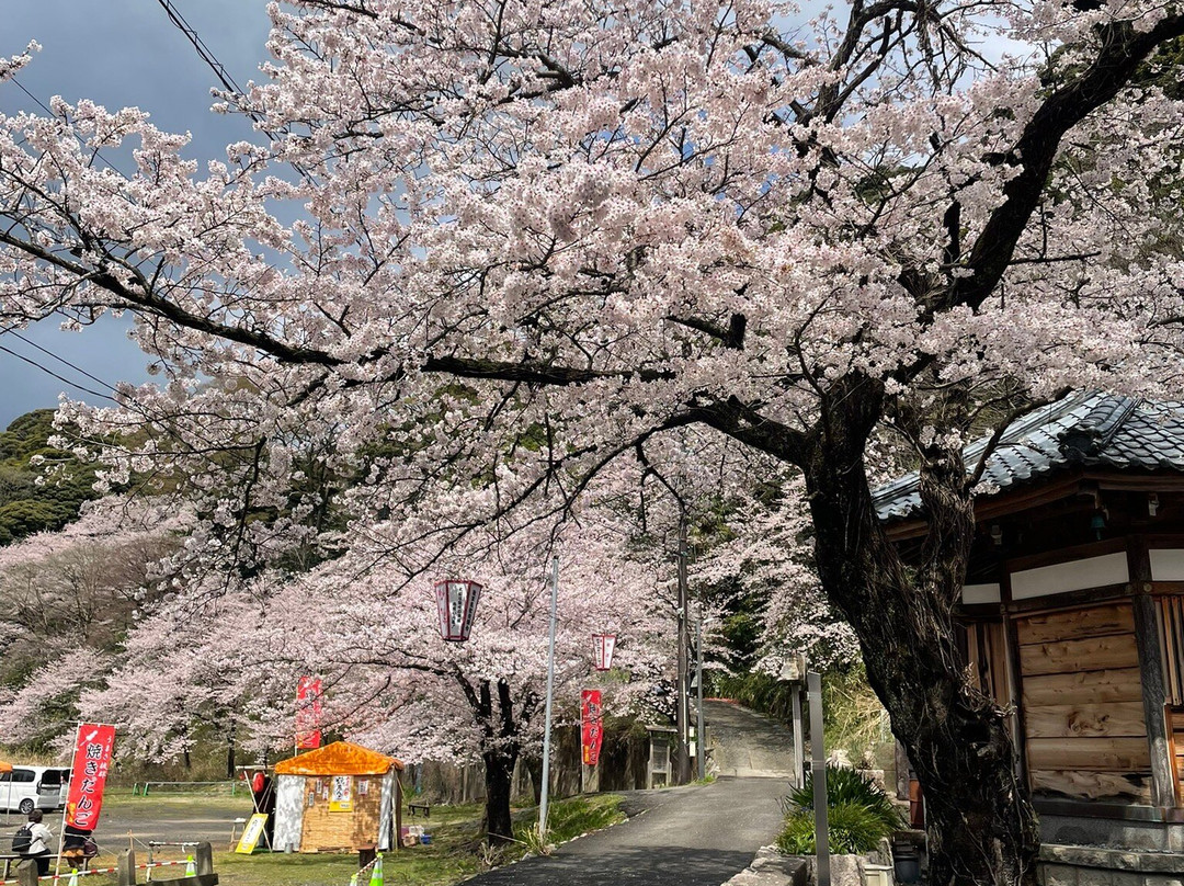 Kanegasakigu Shrine-敦贺市必去景点