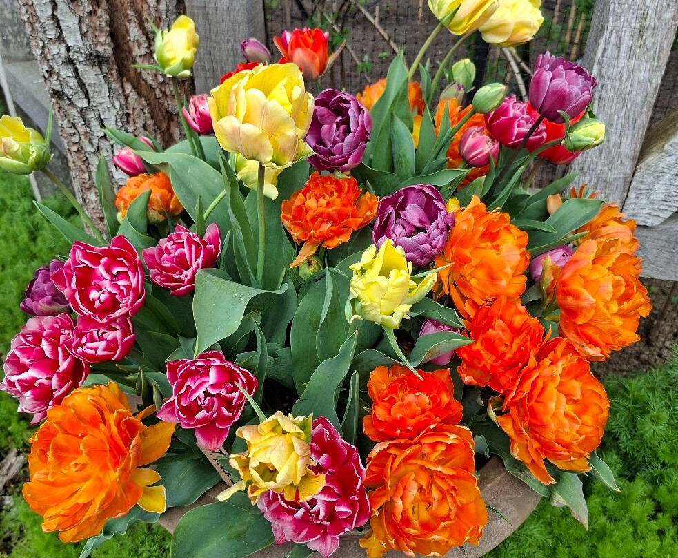 Houghton Hall and Gardens-Houghton必去景点